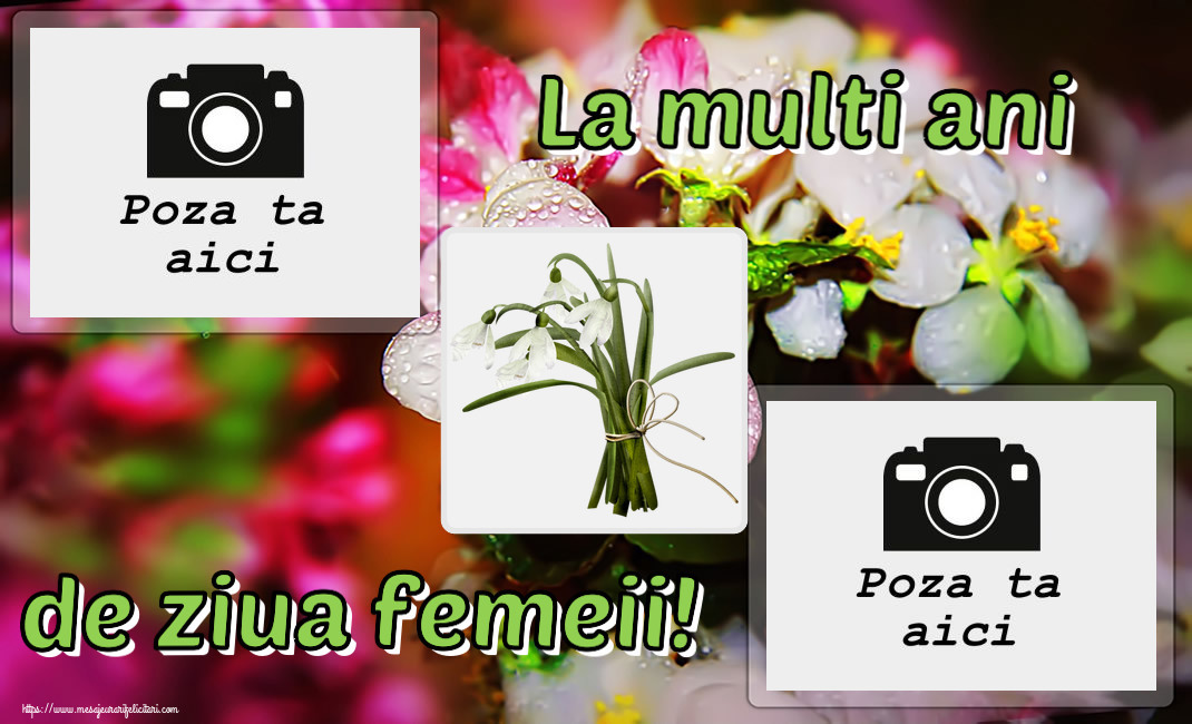 La Multi Ani De Ziua Femeii Rama Foto Personalizare Felicitari Cu Poza